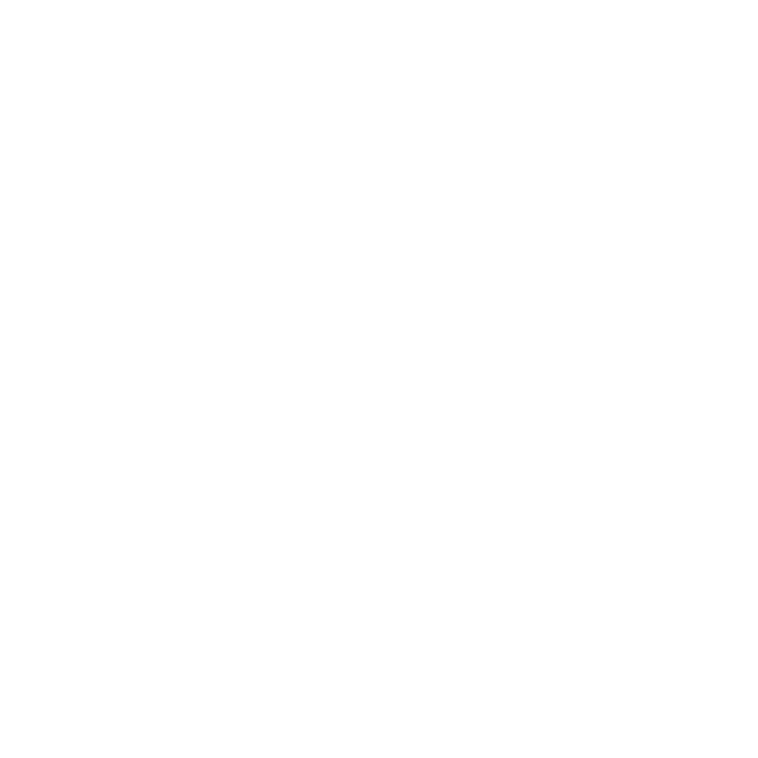 Next JS Development