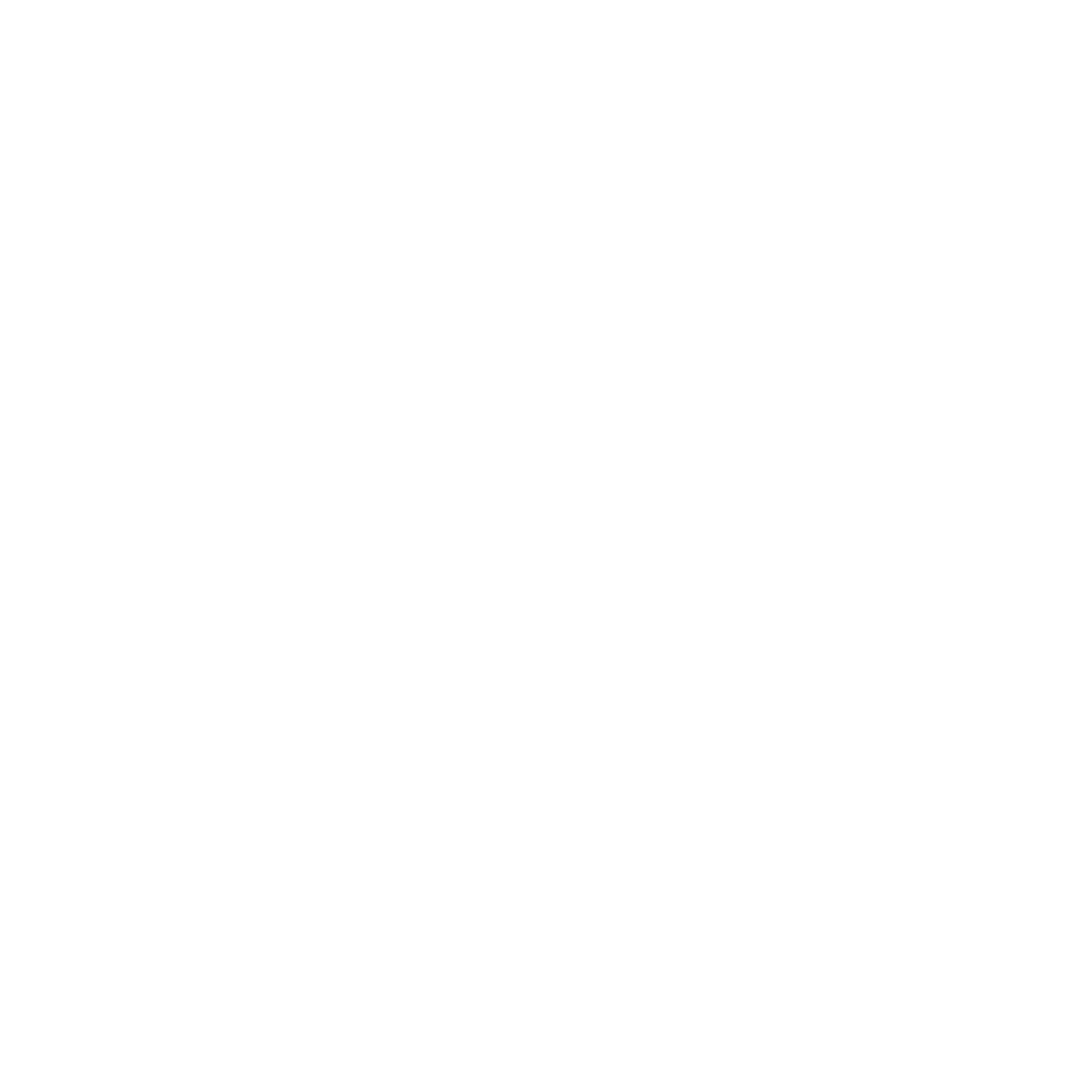Wordpress Development