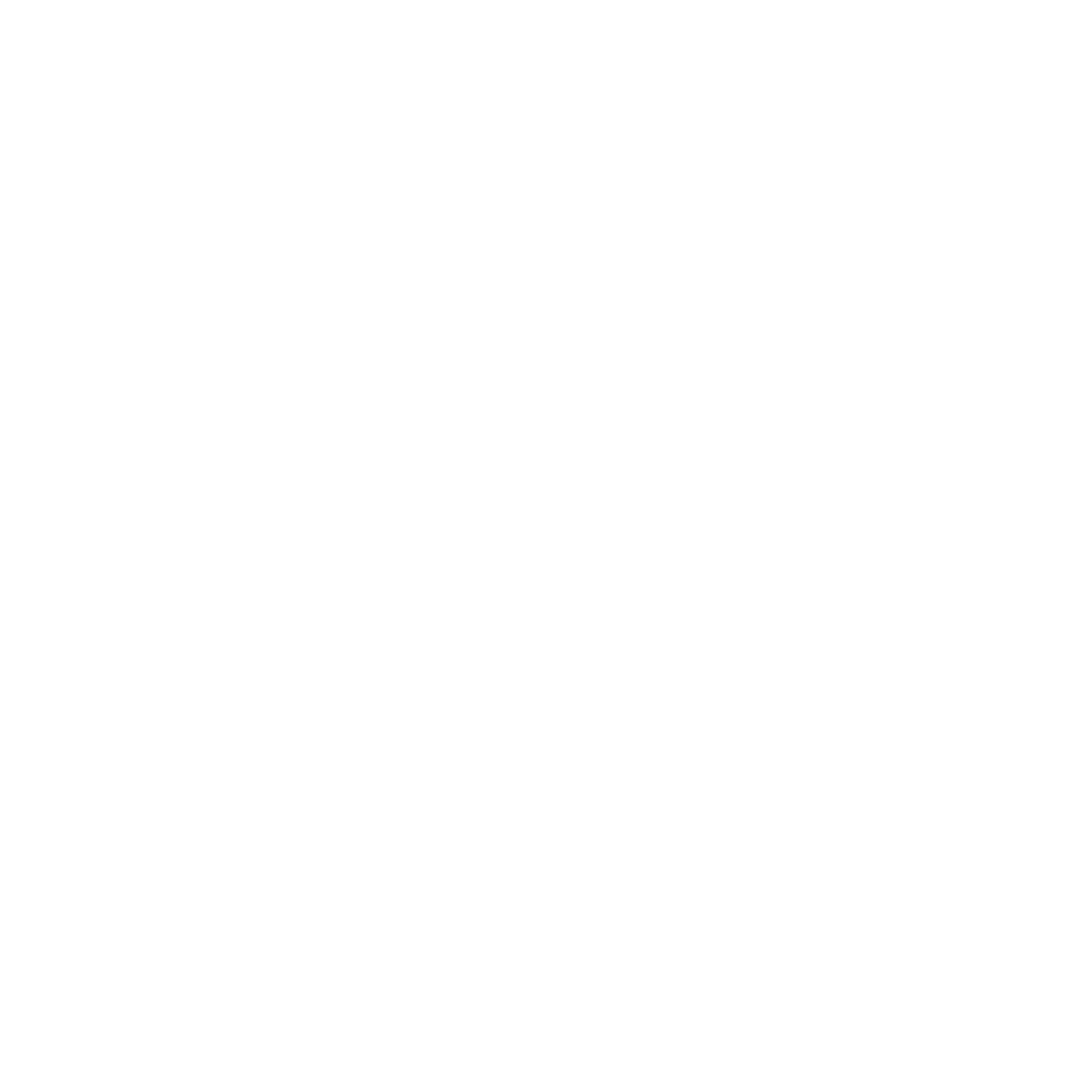 Shopify Development