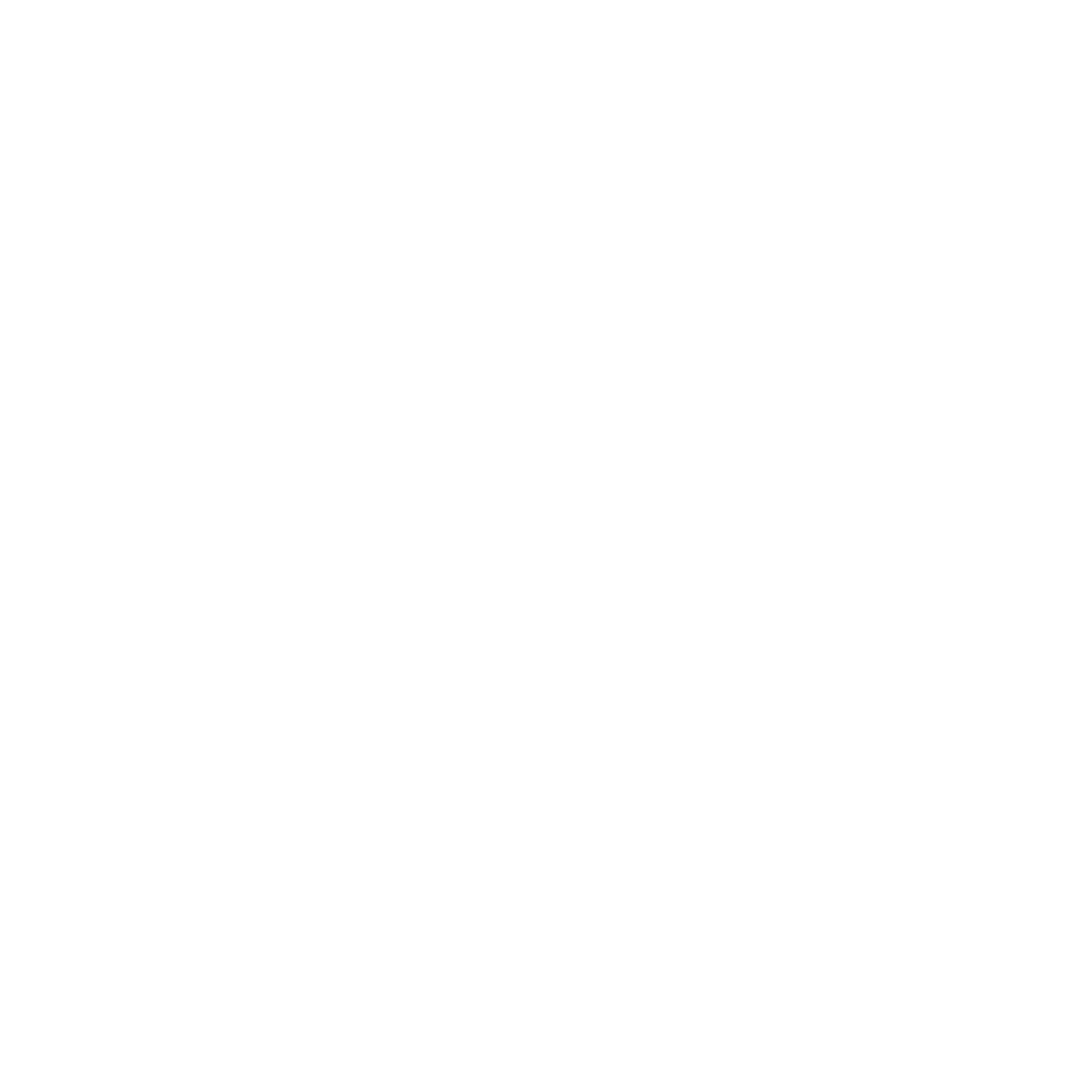 Flutter Development